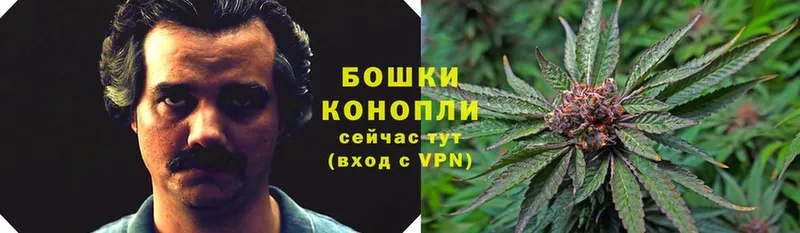 Шишки марихуана White Widow  кракен рабочий сайт  Чишмы  где купить наркоту 