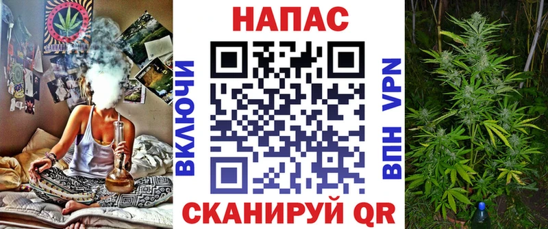 Бошки Шишки ГИДРОПОН  гидра   Чишмы 